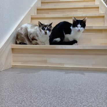 おじゃがともつ