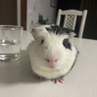 ご協力本当にありがとうございました。