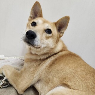 里親様決定しました！