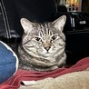 のぶちよ