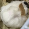 かまぼこやま