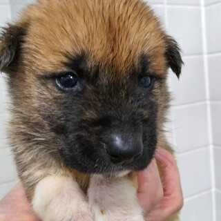 緊急！12月25日　AM9時　時間厳守