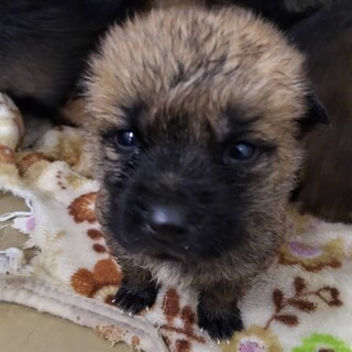 緊急！12月25日　AM9時　時間厳守