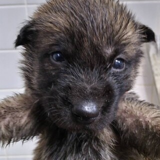 緊急！12月25日　AM9時　時間厳守