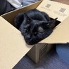 ゆったり過ごしてます