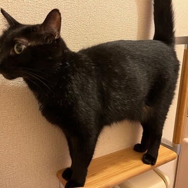 の写真