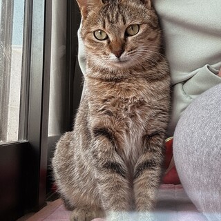 白血病キャリアです。