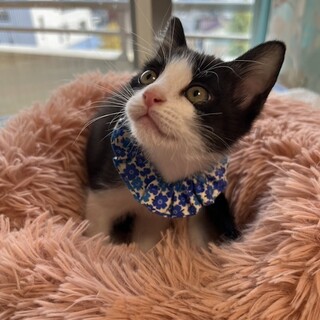 遊ぶのだ～いすきまめです。