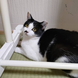 〝しかまるちゃん〟です♪