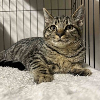 〝なぎちゃん〟です♪