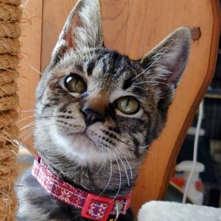 キレイなアイラインのハンサムボーイ　ひろ君