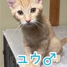 仮名　ユウ♂ （三重県北部の方限定募集） サムネイル2