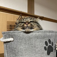 そら