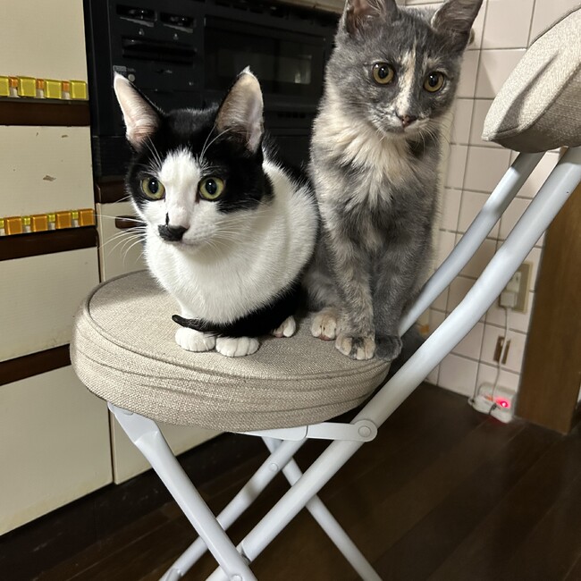 まぁ111のカバー写真