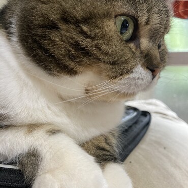 の写真