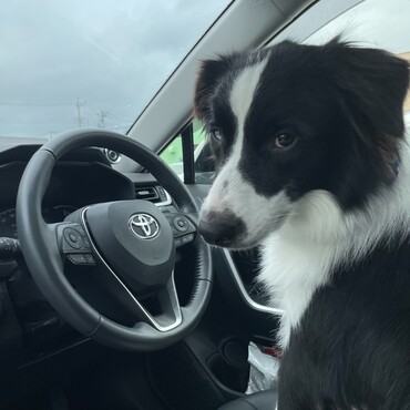 運転する僕