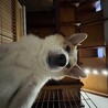 こんな角度もかわいい！