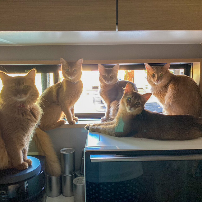 あずさ.3のカバー写真