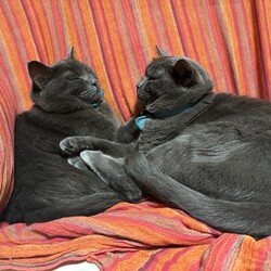 「追記」サムネイル3