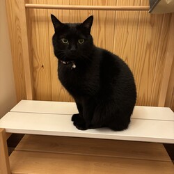 「追記」サムネイル2