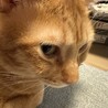 るなれお