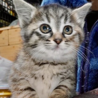 授乳で保護 甘え子で懐っこいララ姫