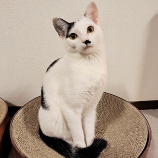 大人しくて甘えん坊な女の子♡リネットちゃん