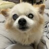 のんびりまったり、マイペースな女の子♡ サムネイル6