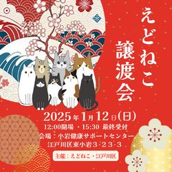 えどねこ譲渡会 江戸川区保健所（小岩健康サポートセンター）