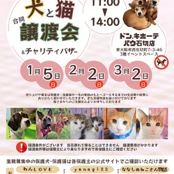 犬と猫の合同譲渡会