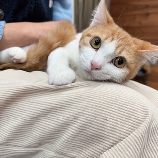 クリクリお目目♡穏やかなアメちゃん