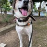 優しい甘えん坊のしんじくん