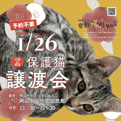 保護猫譲渡会（予約不要）