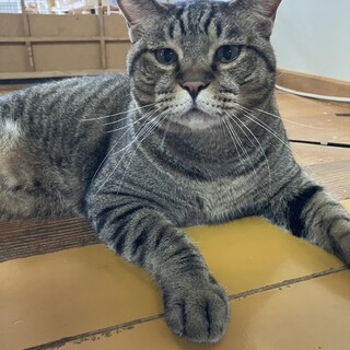 穏やかな　可愛いレン君