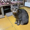 穏やかな　可愛いレン君 サムネイル2