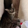 穏やかな　可愛いレン君 サムネイル4