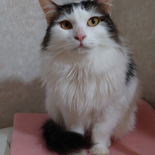 スナックママの落ち着き　前髪パッツン〝ここは〟です