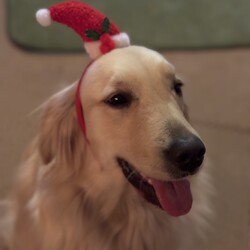 「【閲覧注意】春まで保護活動を休止します」サムネイル3