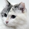 （仮）ココちゃん サムネイル2