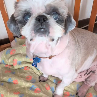 まひろ    穏やかでマイペースな男の子