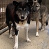 まさのぶ君(まあくんハウス) サムネイル3