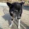 まさのぶ君(まあくんハウス) サムネイル4
