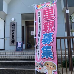 個人ボランティアさんによるいさはや保護猫譲渡会 サムネイル3