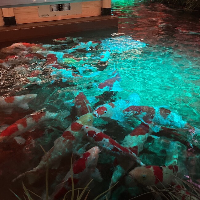 のんぽりのカバー写真