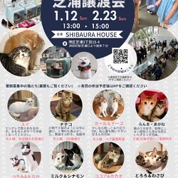 ねこの譲渡会＠東京芝浦（JR田町駅徒歩7分）