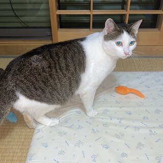 抜群の人懐っこさ!!丸山くん♡