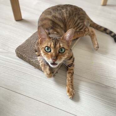 の写真