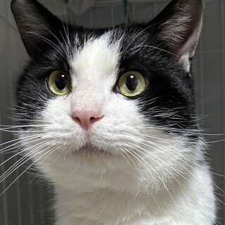 トライアル決定！！「ひろ君」