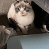 親子でいます サムネイル2