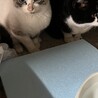 親子でいます サムネイル4